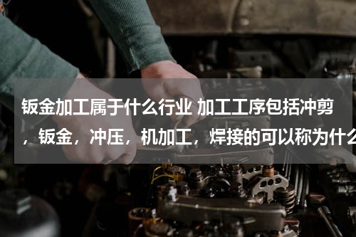 钣金加工属于什么行业 加工工序包括冲剪，钣金，冲压，机加工，焊接的可以称为什么行业？