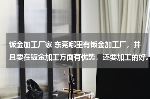 钣金加工厂家 东莞哪里有钣金加工厂，并且要在钣金加工方面有优势，还要加工的好。
