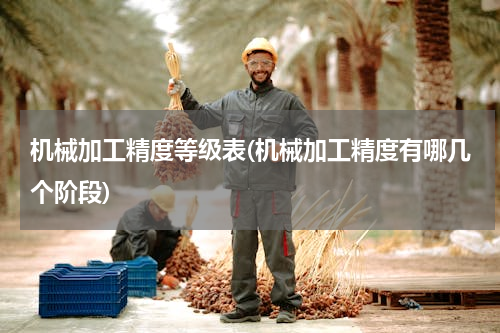 机械加工精度等级表(机械加工精度有哪几个阶段)