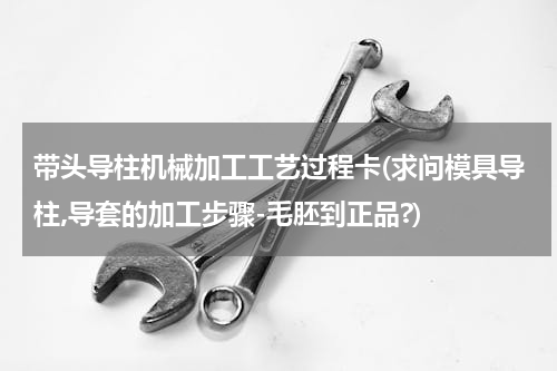 带头导柱机械加工工艺过程卡(求问模具导柱,导套的加工步骤-毛胚到正品?)