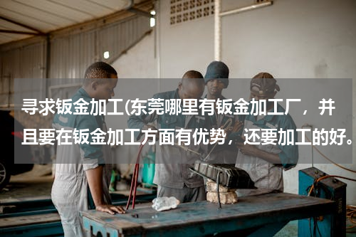 寻求钣金加工(东莞哪里有钣金加工厂，并且要在钣金加工方面有优势，还要加工的好。)