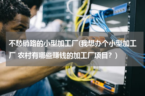 不愁销路的小型加工厂(我想办个小型加工厂 农村有哪些赚钱的加工厂项目？)