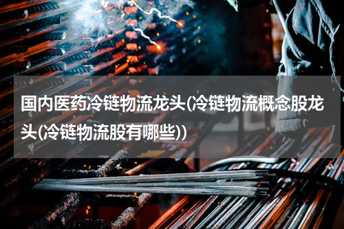 国内医药冷链物流龙头(冷链物流概念股龙头(冷链物流股有哪些))