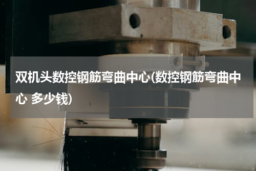 双机头数控钢筋弯曲中心(数控钢筋弯曲中心 多少钱)