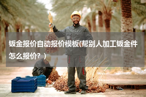 钣金报价自动报价模板(帮别人加工钣金件怎么报价？)