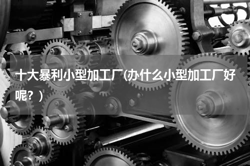 十大暴利小型加工厂(办什么小型加工厂好呢？)