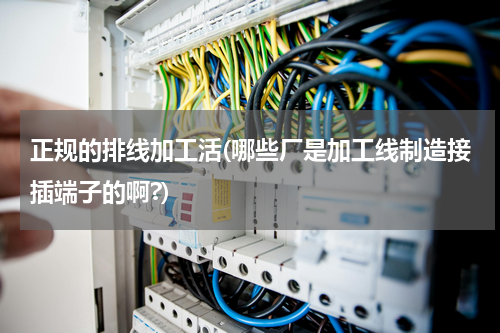正规的排线加工活(哪些厂是加工线制造接插端子的啊?)