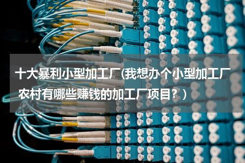 十大暴利小型加工厂(我想办个小型加工厂 农村有哪些赚钱的加工厂项目？)