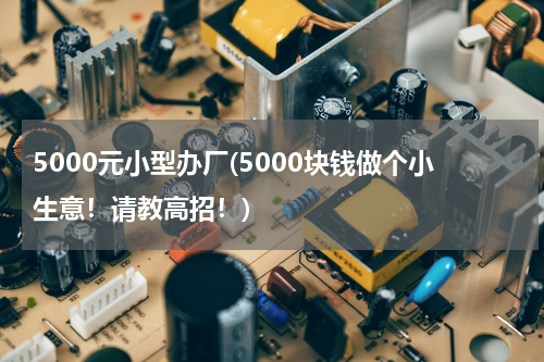5000元小型办厂(5000块钱做个小生意！请教高招！)