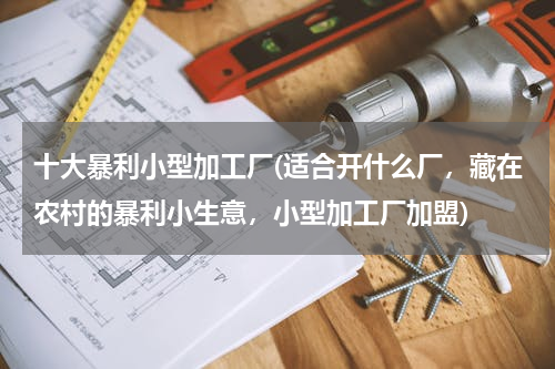 十大暴利小型加工厂(适合开什么厂，藏在农村的暴利小生意，小型加工厂加盟)