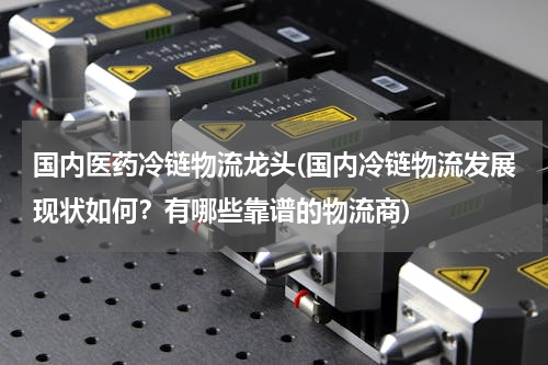 国内医药冷链物流龙头(国内冷链物流发展现状如何？有哪些靠谱的物流商)