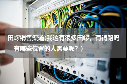 田螺销售渠道(我这有很多田螺，有销路吗，有哪些位置的人需要呢？)
