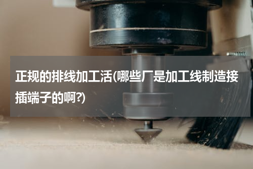正规的排线加工活(哪些厂是加工线制造接插端子的啊?)