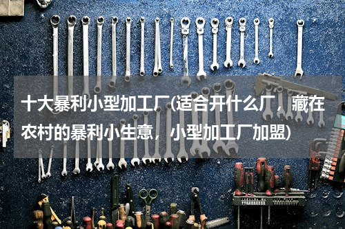 十大暴利小型加工厂(适合开什么厂，藏在农村的暴利小生意，小型加工厂加盟)