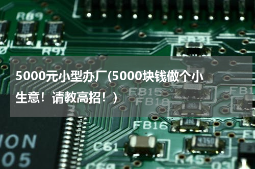 5000元小型办厂(5000块钱做个小生意！请教高招！)
