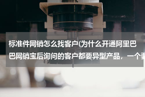 标准件网销怎么找客户(为什么开通阿里巴巴网销宝后询问的客户都要异型产品，一个要标准件的也没有)