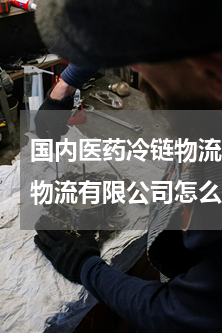 国内医药冷链物流龙头(浙江迪安深海冷链物流有限公司怎么样？)