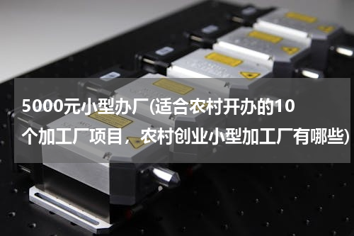 5000元小型办厂(适合农村开办的10个加工厂项目，农村创业小型加工厂有哪些)