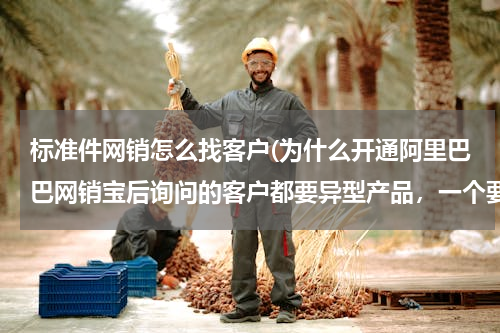 标准件网销怎么找客户(为什么开通阿里巴巴网销宝后询问的客户都要异型产品，一个要标准件的也没有)