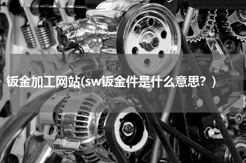 钣金加工网站(sw钣金件是什么意思？)