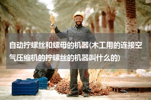 自动拧螺丝和螺母的机器(木工用的连接空气压缩机的拧螺丝的机器叫什么的)