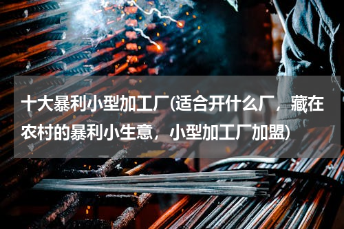 十大暴利小型加工厂(适合开什么厂，藏在农村的暴利小生意，小型加工厂加盟)