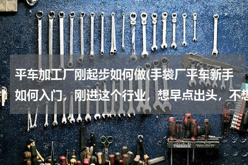 平车加工厂刚起步如何做(手袋厂平车新手如何入门，刚进这个行业，想早点出头，不想老是被老员工打击，有什么技巧快速提高技术速度)