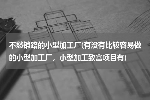 不愁销路的小型加工厂(有没有比较容易做的小型加工厂，小型加工致富项目有)