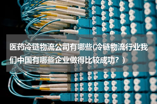 医药冷链物流公司有哪些(冷链物流行业我们中国有哪些企业做得比较成功？)
