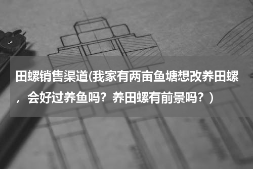 田螺销售渠道(我家有两亩鱼塘想改养田螺，会好过养鱼吗？养田螺有前景吗？)