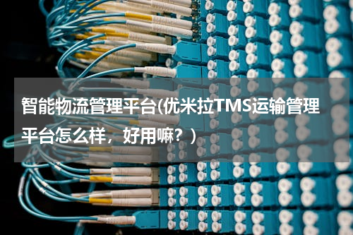 智能物流管理平台(优米拉TMS运输管理平台怎么样，好用嘛？)