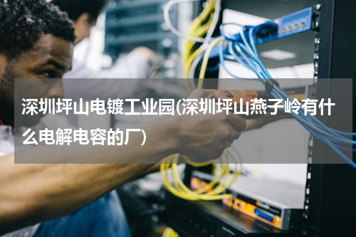 深圳坪山电镀工业园(深圳坪山燕子岭有什么电解电容的厂)
