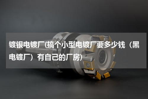 镀银电镀厂(搞个小型电镀厂要多少钱（黑电镀厂）有自己的厂房)