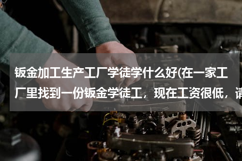 钣金加工生产工厂学徒学什么好(在一家工厂里找到一份钣金学徒工，现在工资很低，请问将来可有前途？)