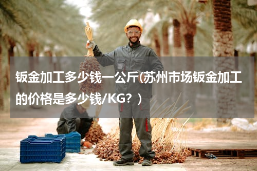 钣金加工多少钱一公斤(苏州市场钣金加工的价格是多少钱/KG？)