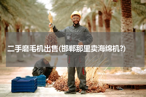 二手磨毛机出售(邯郸那里卖海绵机?)
