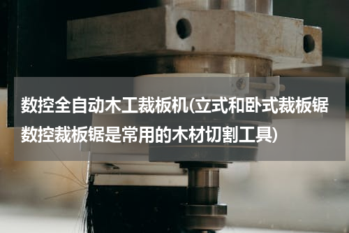 数控全自动木工裁板机(立式和卧式裁板锯数控裁板锯是常用的木材切割工具)